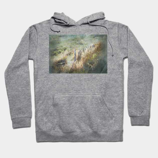 Heavenly Fences Hoodie by Susan Werby